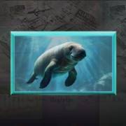 Floridaman: Sigillo