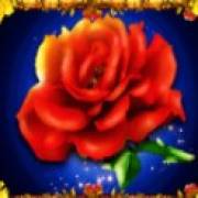 Fortuna De Los Muertos 2: Rosa
