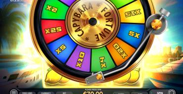 Fortune Capybara: Giochi bonus