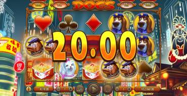 Fortune Dogs: Interfaccia dello slot