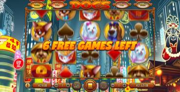 Fortune Dogs: Giri gratis