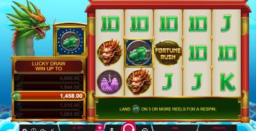 Fortune Rush: Tema