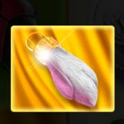 Fortune Teller's Charm 6: Zampa
