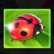Fortune Teller's Charm 6: Coccinella