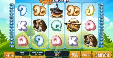 Foxy Fortunes: Elementi speciali