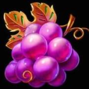 Fruit Blaze: Uva