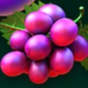 Fruit Loop: Uva