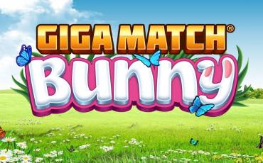 Giga Match Bunny