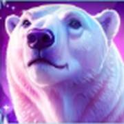 Giga Match North Pole: Orso