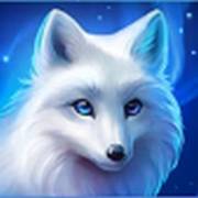 Giga Match North Pole: Lupo