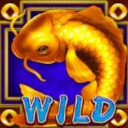 Golden Fish: Selvaggio