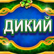 Golden Leprechaun's Mystery: Selvaggio