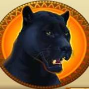 Golden Princess: Puma