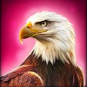 Grand Bison: Aquila