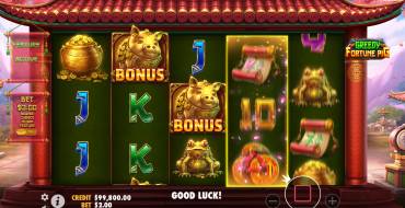Greedy Fortune Pig: Caratteristiche uniche