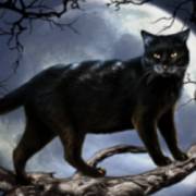 Halloween: Egypt Quest: Gatto nero