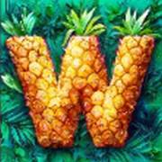 Hawaiitopia: Selvaggio