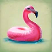 Hawaiitopia: Cigno