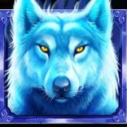 Hokkaido Wolf: Lupo