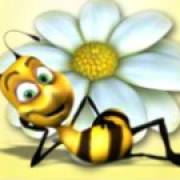 Honey Buziness: Un'ape con un fiore
