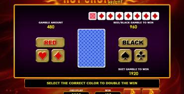Hot Choice Deluxe: Gioco del rischio