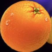 Hot Coins Hold and Win: Arancione