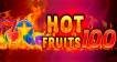 Slot Hot Fruits 100