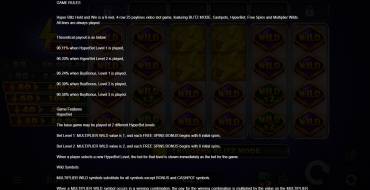 Hyper Blitz Hold and Win: Regole