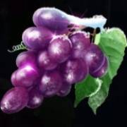 Ice Cold Fruits: Uva