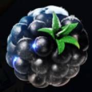 Ice Cold Fruits: Mirtillo nero