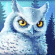 Icy Wilds: Gufo