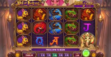 Idol of Fortune: Tema