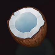 Ignite the Night: Noce di cocco