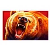 Immortal Ways Buffalo: Orso