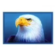 Immortal Ways Buffalo: Aquila