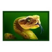 Immortal Ways Buffalo: Serpente