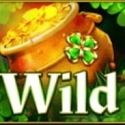 Irish Cheers: Selvaggio