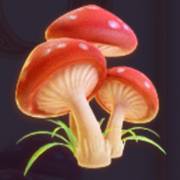 Irish Clover: Funghi