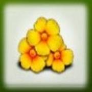 Isle O’Plenty: I fiori