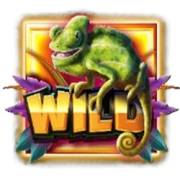 Jumbo Safari: Selvaggio