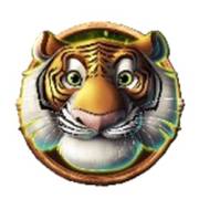 Jumbo Safari: Tigre