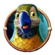 Jumbo Safari: Pappagallo