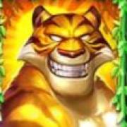 Jungle Stripes: Selvaggio