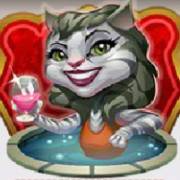 Kitty Cabana: Un gatto in una vasca idromassaggio