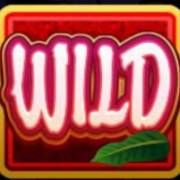 Kitty Cabana: Selvaggio