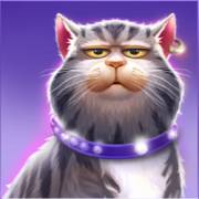 Kitty POPpins: Il gatto in viola