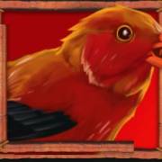 Lady Lava: Uccello