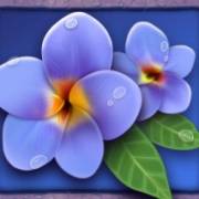 Lady Lava: I fiori