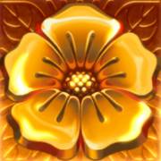 Lava Lava: Loto