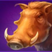 Lion Gems: Hold and Win: Cinghiale
